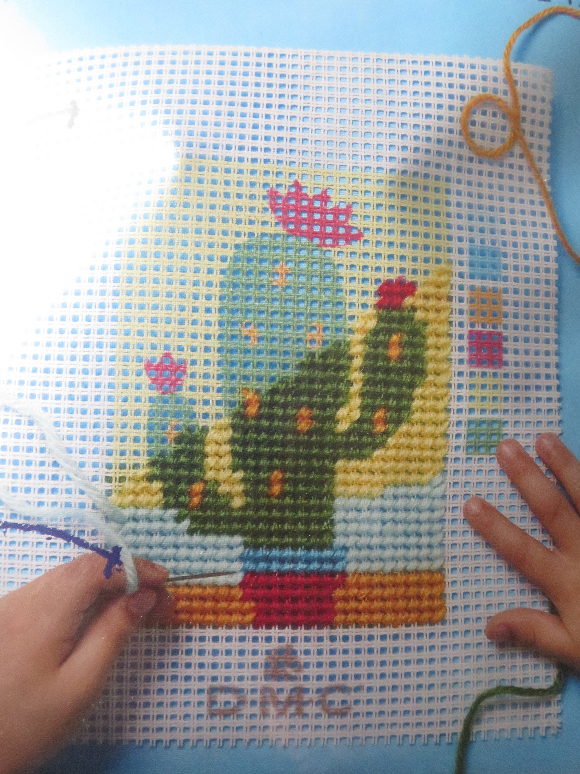 DMC Children's I Can Stitch Tapestry Kit- The Cactus