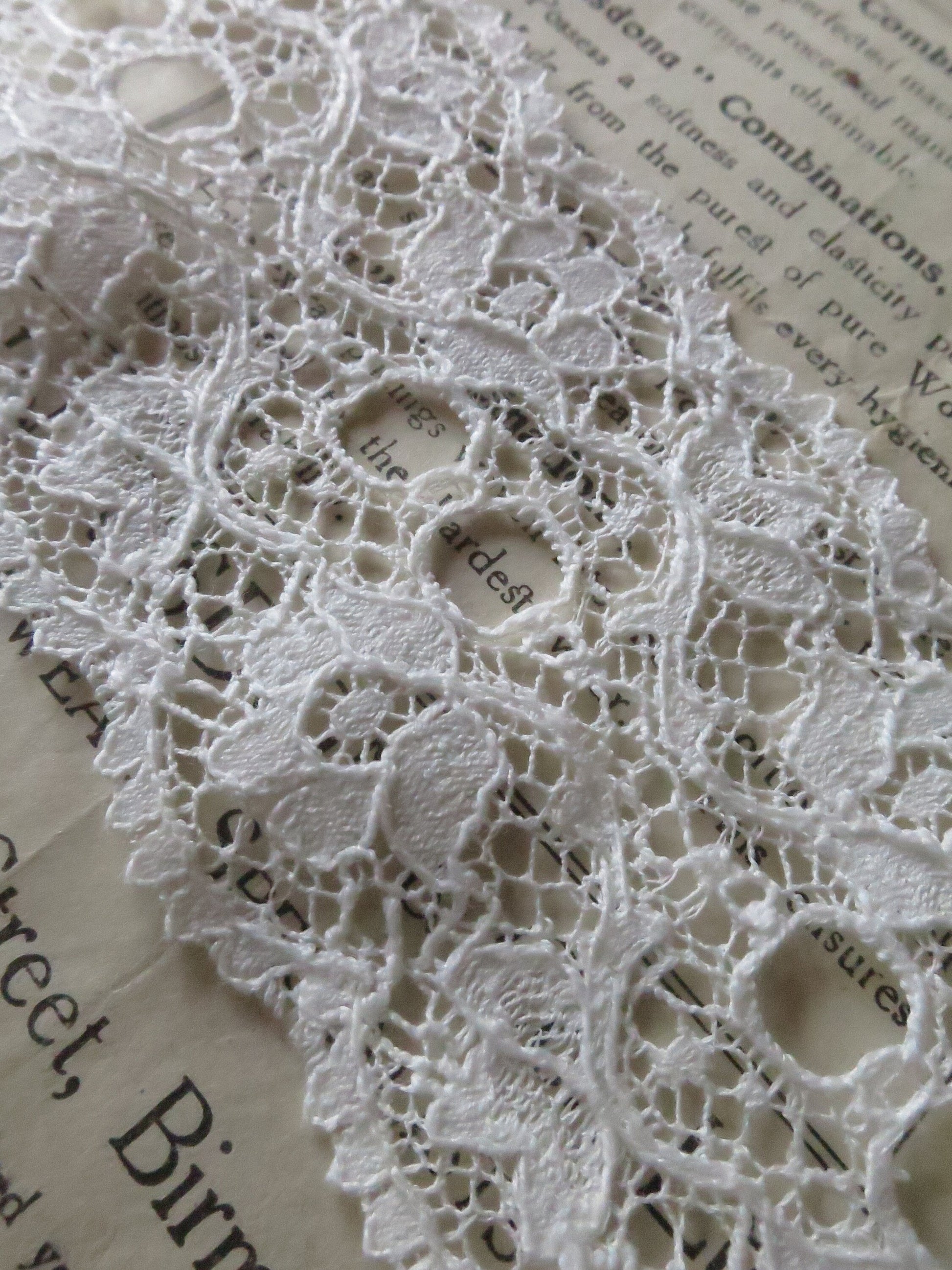 Off White English Nottingham Lace- Scalloped Raised Floral Double Eyelet- Galloon- 5.5 cm