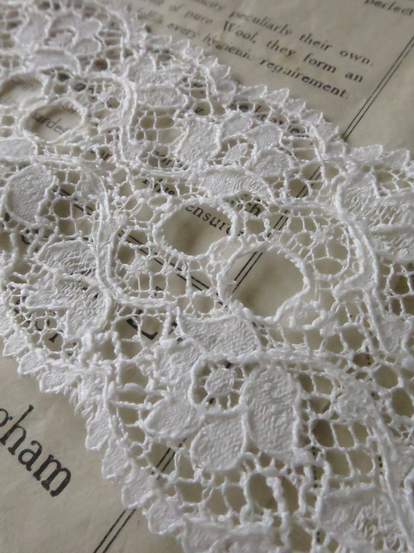 Off White English Nottingham Lace- Scalloped Raised Floral Double Eyelet- Galloon- 5.5 cm