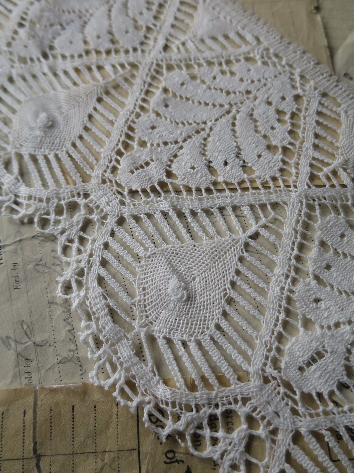 Off White English Nottingham Cluny Lace- Bedfordshire/ Le Puy Guipure Leaves- 15.5 cm