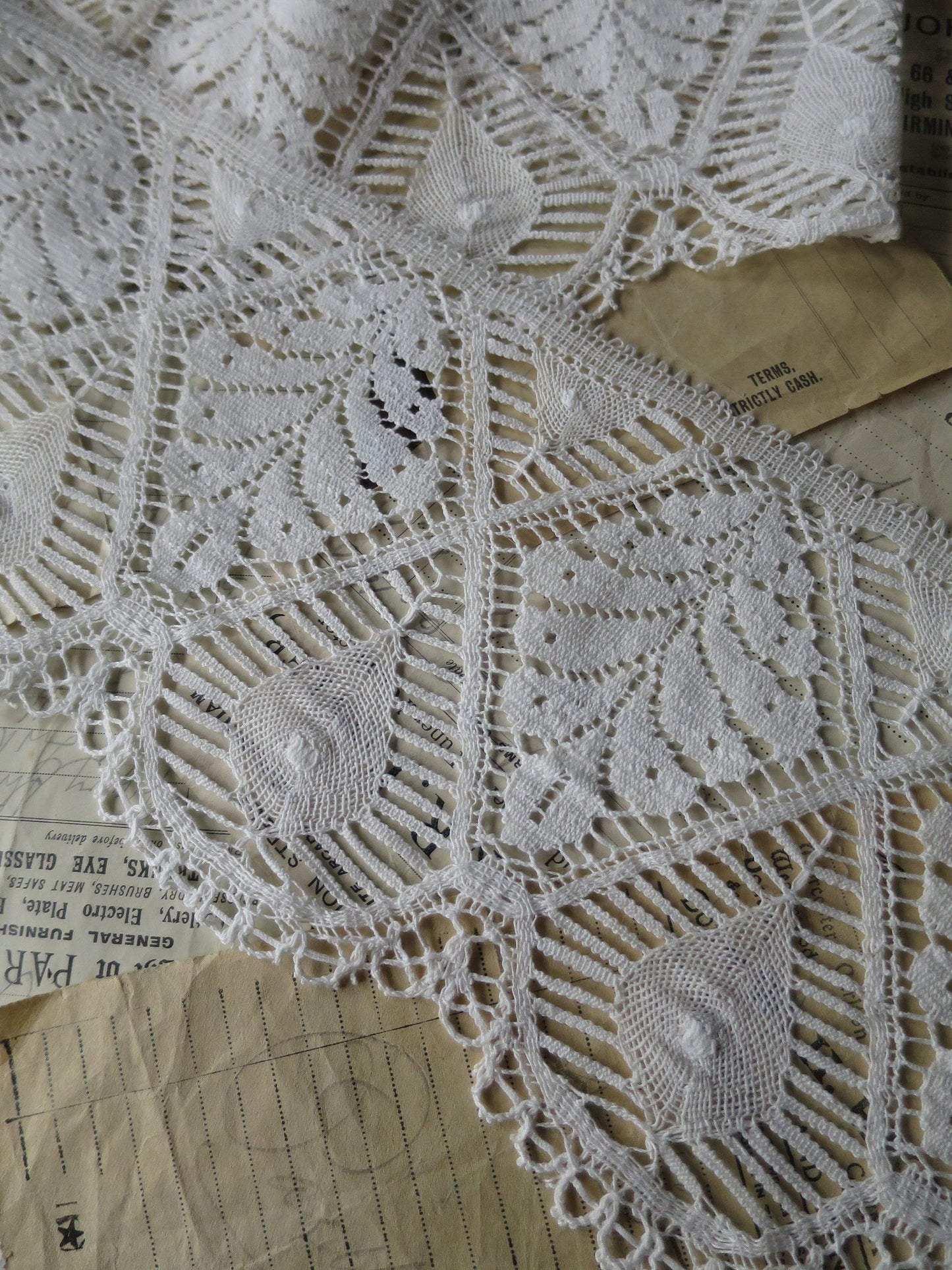 Off White English Nottingham Cluny Lace- Bedfordshire/ Le Puy Guipure Leaves- 15.5 cm