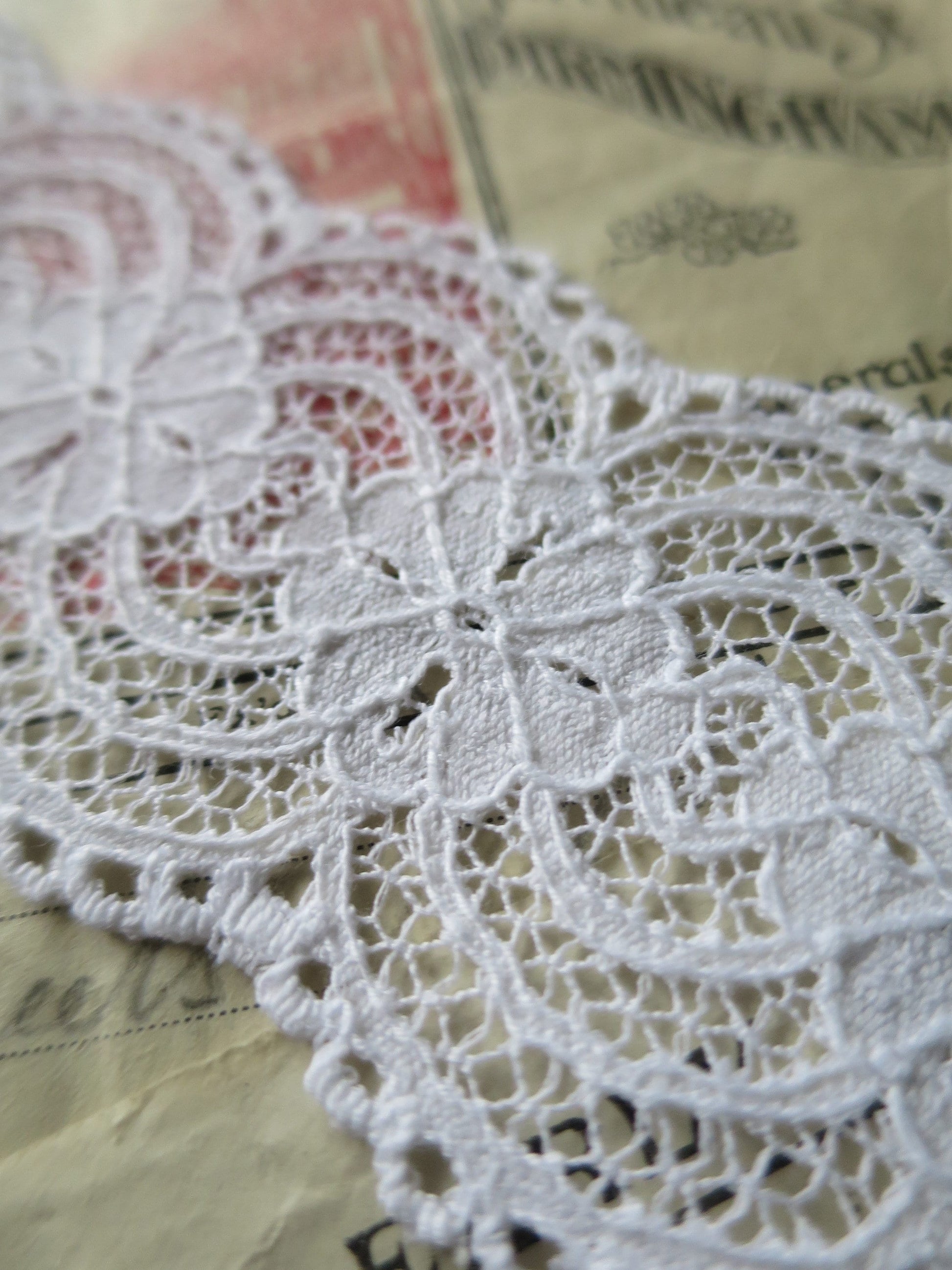 White English Nottingham Lace- Raised Floral- Galloon- 5.5 cm