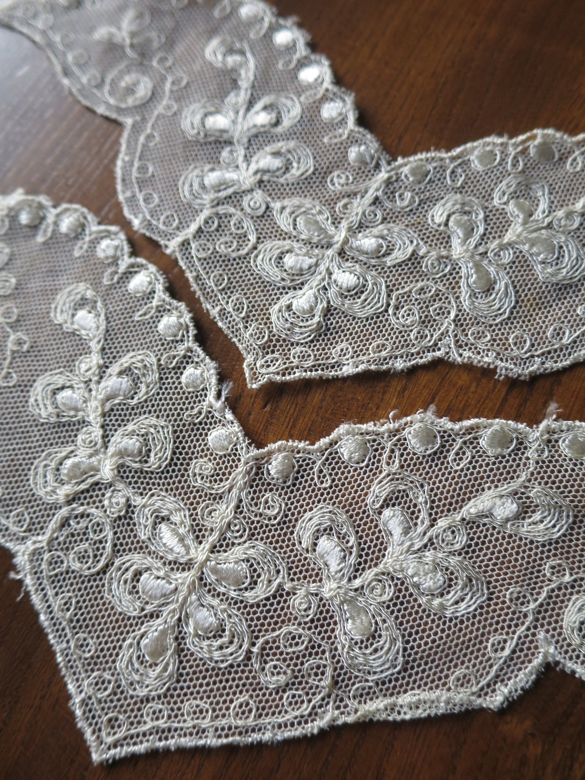 Pair Schiffli Embroidered Tulle Appliques