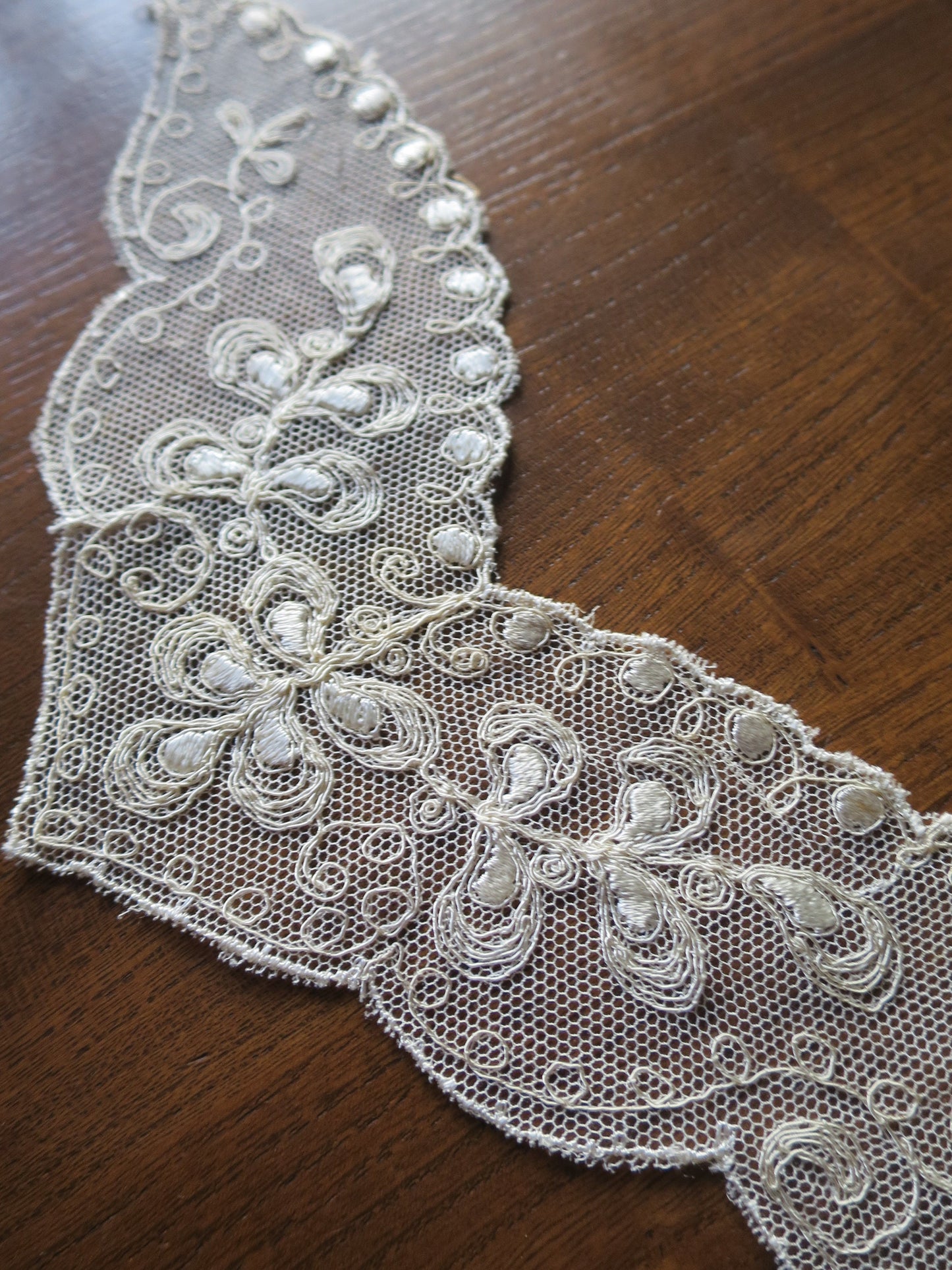 Pair Schiffli Embroidered Tulle Appliques