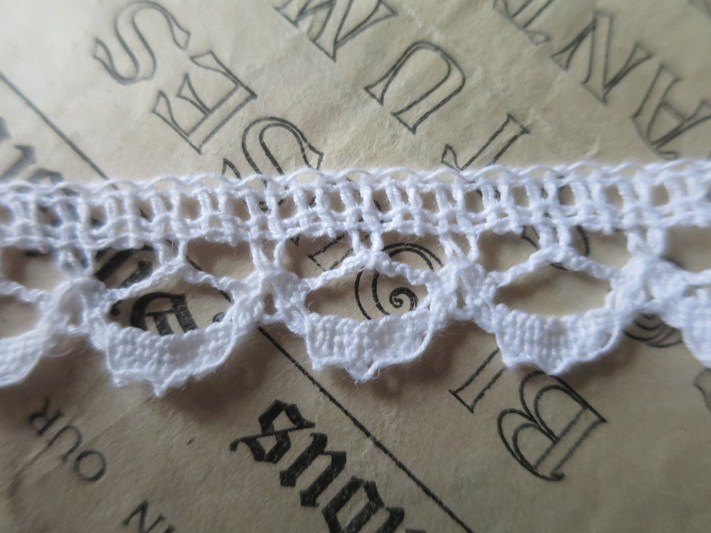 White English Nottingham Cluny Lace- Openwork Scallops- 2 cm