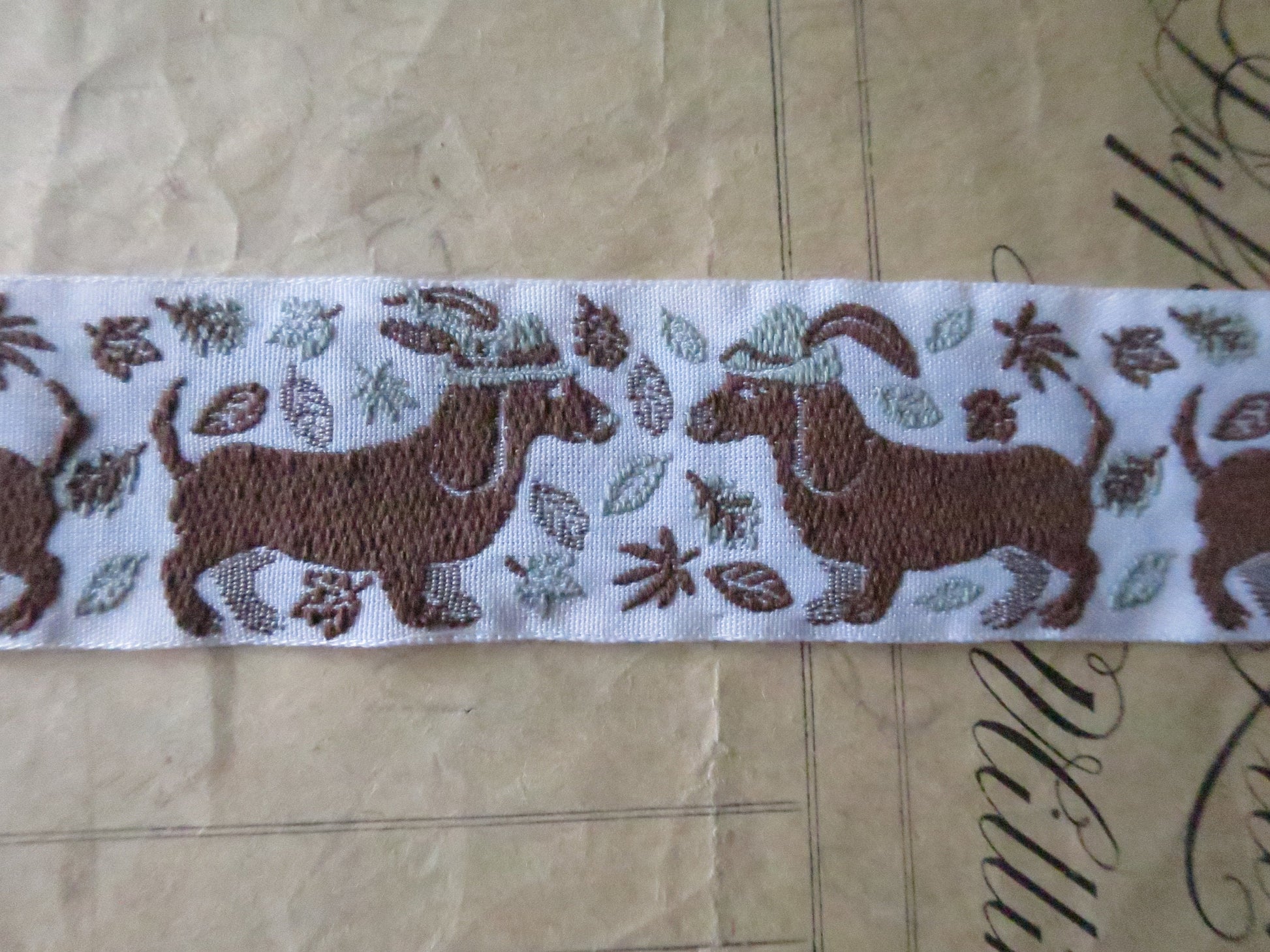 Dachshunds- 32 mm Jacquard Woven Ribbon