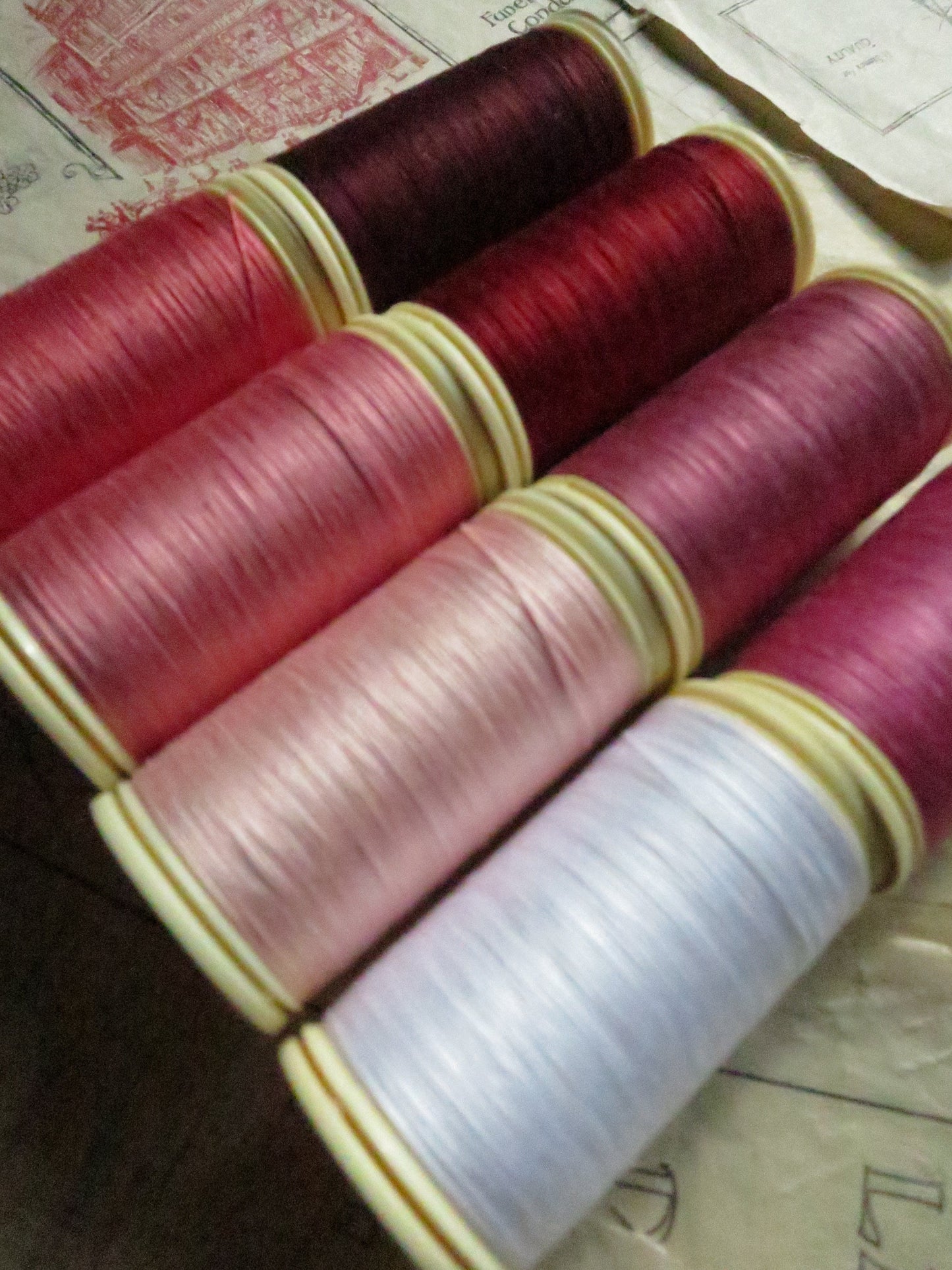 Sajou Fil au Chinois Cotton Thread Boxed Set- Shocking Pinks