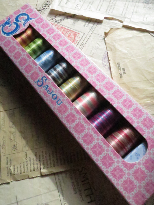 Sajou Glossy Varigated Thread/ Fil Multicolore Brilliant Thread Boxed Set- Popular Colours