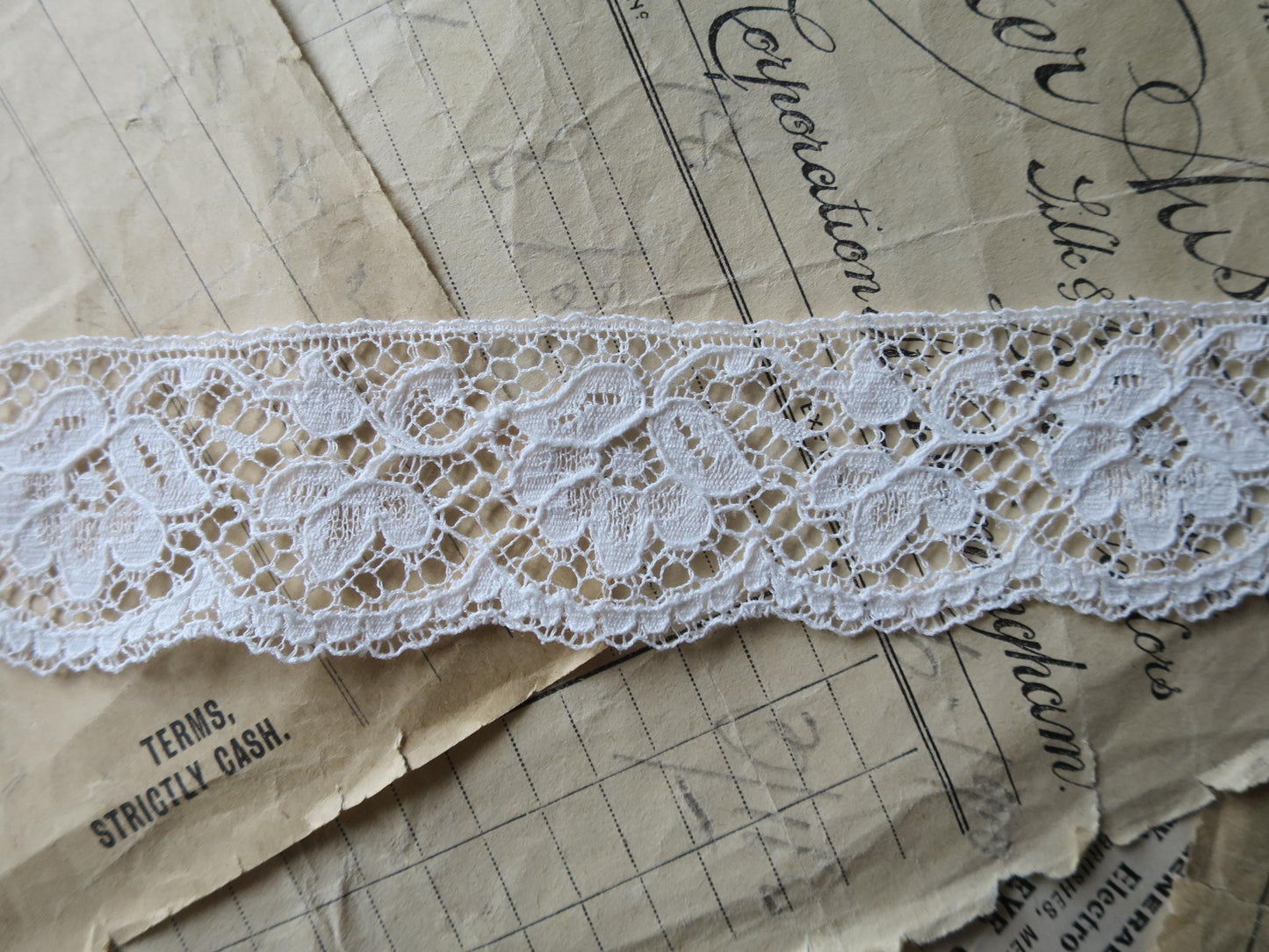 Off White English Nottingham Lace- Scalloped Raised Floral Guipure- 3.5 cm