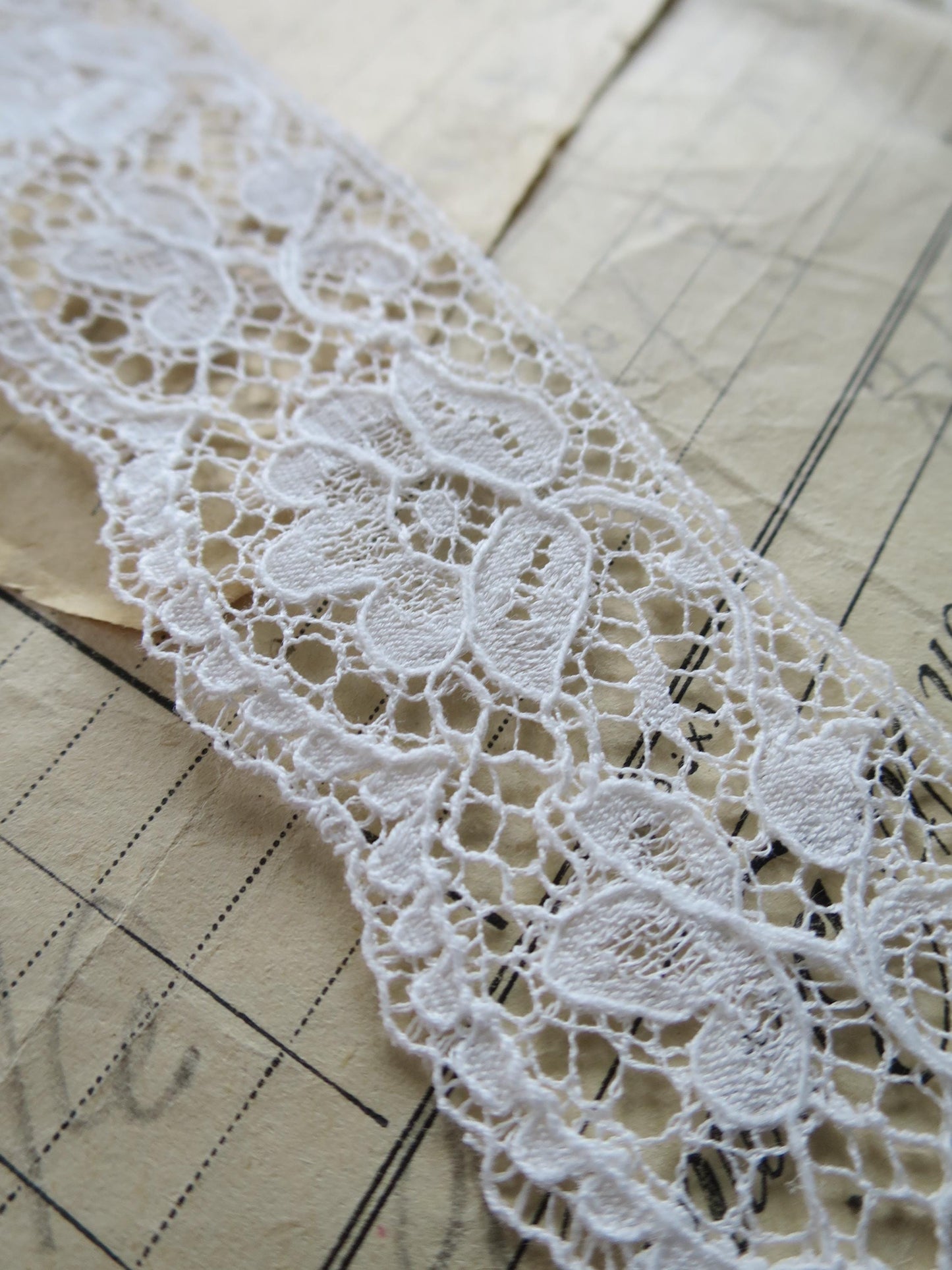 Off White English Nottingham Lace- Scalloped Raised Floral Guipure- 3.5 cm