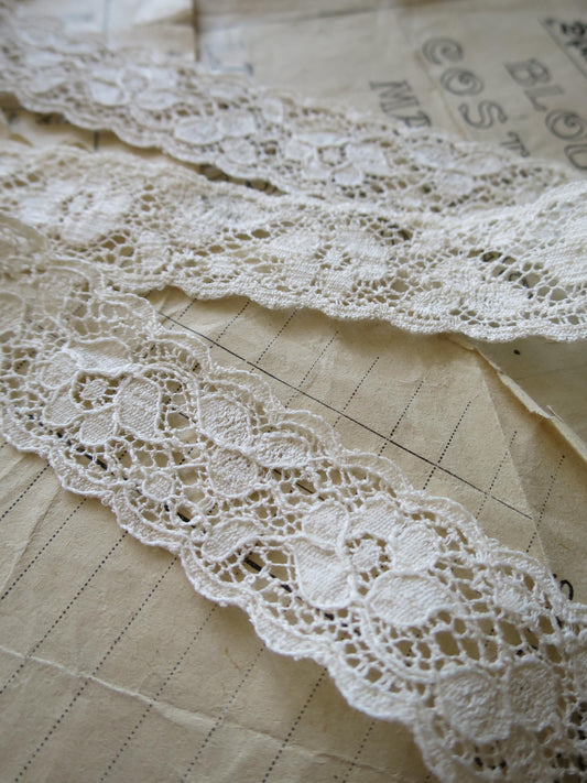 Ecru English Nottingham Lace- Scalloped Raised Floral Guipure- Galloon- 2.7 cm